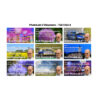 DxO PhotoLab 6 Online-Videokurs Collage 1 (150003-VK)